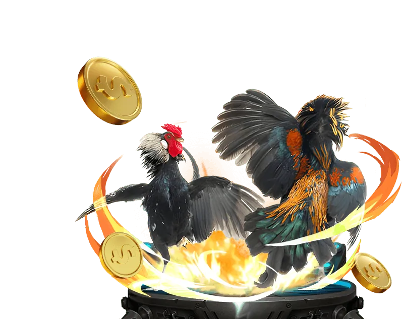 Giới thiệu về đá gà trực tuyến 789bet Zone